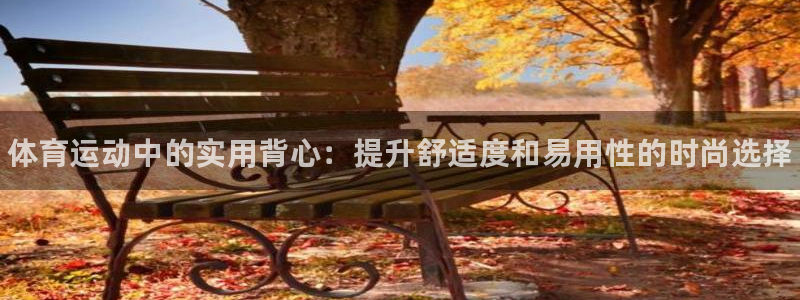 3377体育官方正版app集团简介：体育运动中的实用