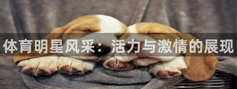 3377体育官网下载平台注册要钱吗：体育明星风采：活