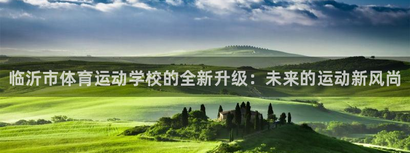 3377体育官方正版app五金厂：临沂市体育运动学校
