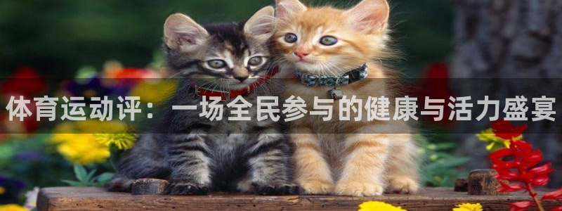 3377体育官方正版app娱乐首页网站大全：体育运动