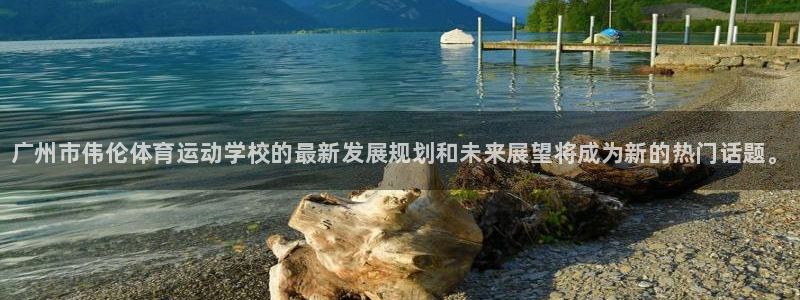 3377体育官网下载：广州市伟伦体育运动学校的最新发