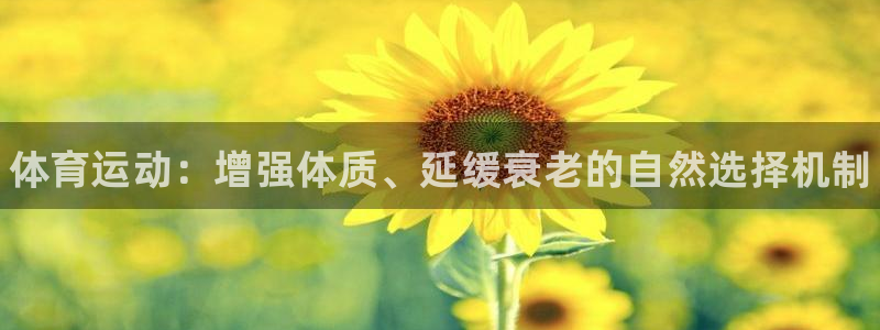 德国3377体育官方正版app集团