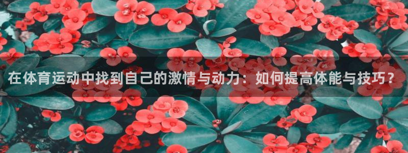 3377体育官网下载招商电话：在体育运动中找到自己的