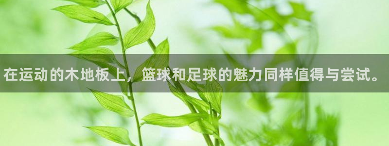 3377体育官网下载招商电话号码是多少：在运动的木地