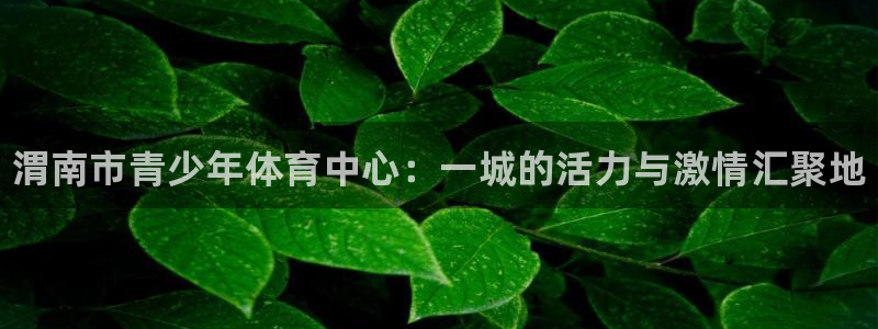 3377体育官方正版app官方：渭南市青少年体育中心