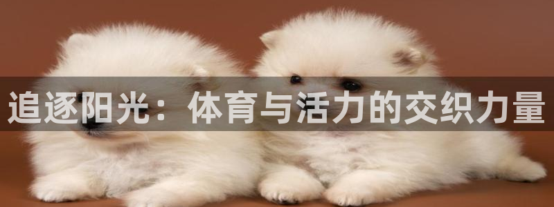 3377体育官网下载开户：追逐阳光：体育与活力的交织