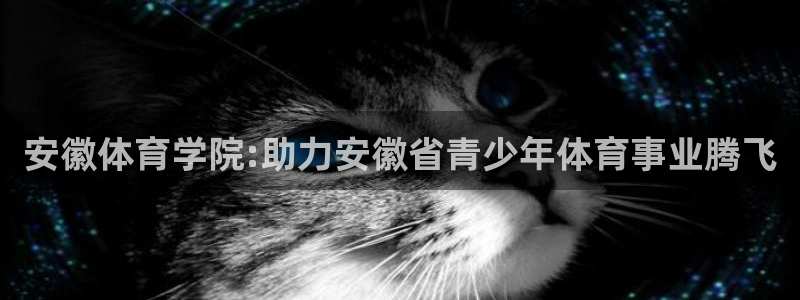 3377体育官网下载招商电话是多少号码：安徽体育学院