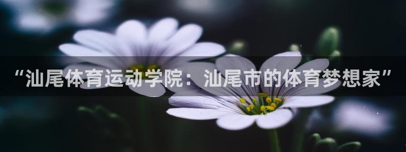 3377体育官网下载招商电话号码是多少