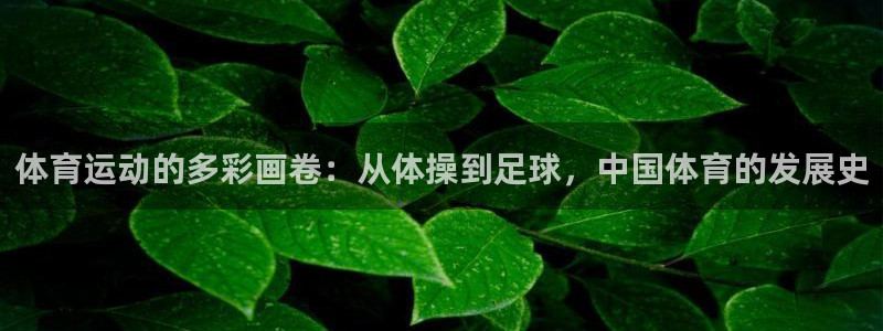 3377体育官网下载平台是正规平台吗知乎：体育运动的多彩画卷