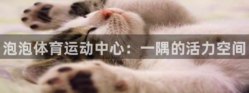 3377体育官网下载平台注册流程视频：泡泡体育运动中心：一隅