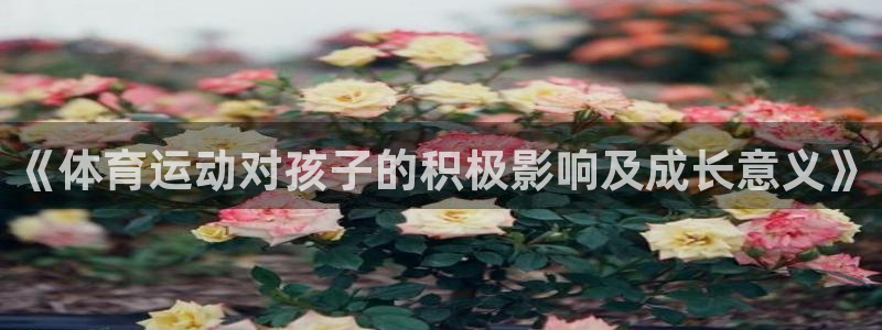 3377体育官方正版app集团官网首页网址