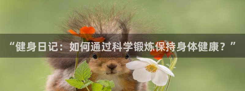 3377体育官网下载招商电话号码