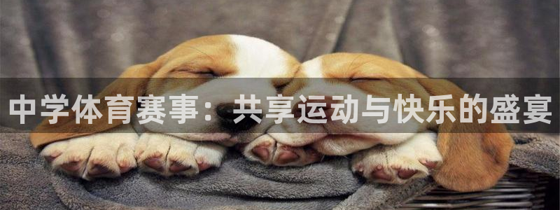 3377体育官网下载招商电话地址：中学体育赛事：共享运动与快