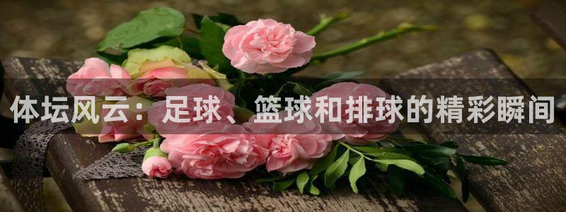 3377体育官网下载平台假的吗是真的吗吗：体坛风云：