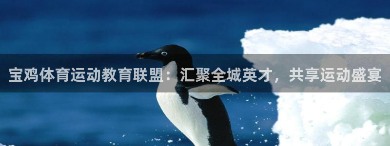 3377体育官网下载招商电话是多少号码：宝鸡体育运动