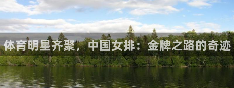 3377体育是干嘛的：体育明星齐聚，