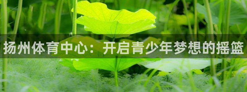 3377体育在线官网：扬州体育中心：