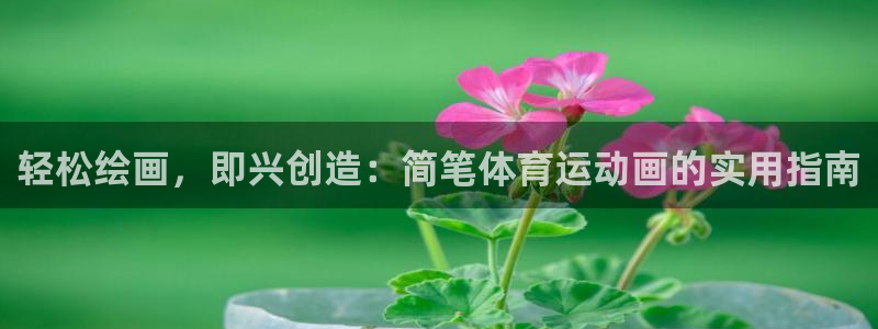 3377体育平台正规吗怎么样：轻松绘
