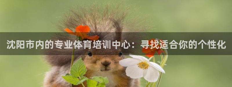  3377体育手机平台：沈阳市内的专业体育培训中心：寻找适合你