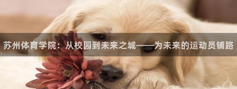 3377体育为什么提不出来：苏州体育学院：从校园到未来之城—