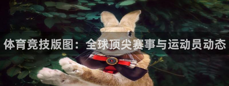  3377体育退款：体育竞技版图：全球顶尖赛事与运动员动态