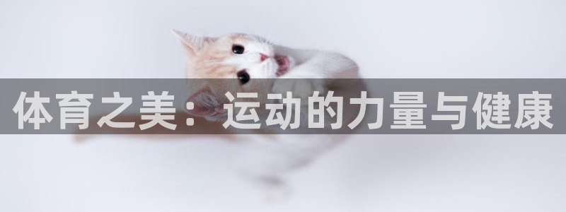 3377体育犯法吗：体育之美：运动的力量与健康