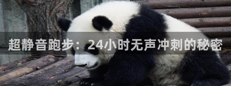 3377体育出款正常不：超静音跑步：