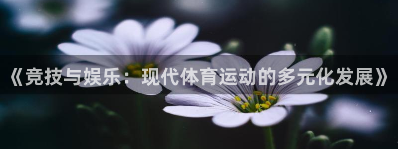 3377体育平台正规吗怎么样：《竞技