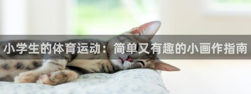  3377体育手机平台：小学生的体育运动：简单又有趣的小画作指