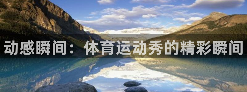  3377体育是什么：动感瞬间：体育运动秀的精彩瞬间