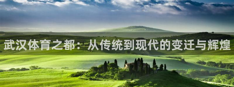  3377体育被国家取消了吗为什么：武汉体育之都：从传统到现代